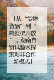 从“货物贸易”到“制度型开放”，湖南自贸试验区探索对非合作新模式