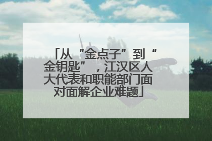 从“金点子”到“金钥匙”，江汉区人大代表和职能部门面对面解企业难题