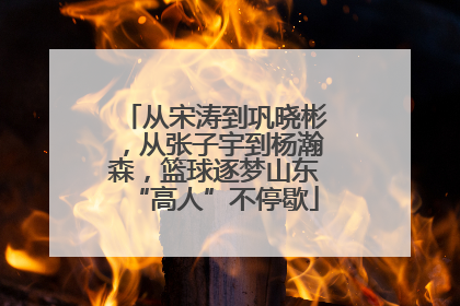 从宋涛到巩晓彬，从张子宇到杨瀚森，篮球逐梦山东“高人”不停歇