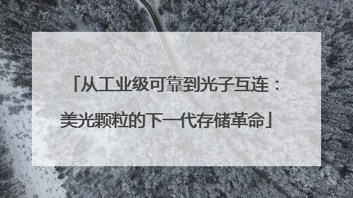 从工业级可靠到光子互连：美光颗粒的下一代存储革命