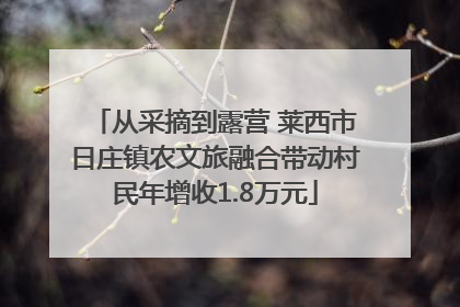 从采摘到露营 莱西市日庄镇农文旅融合带动村民年增收1.8万元