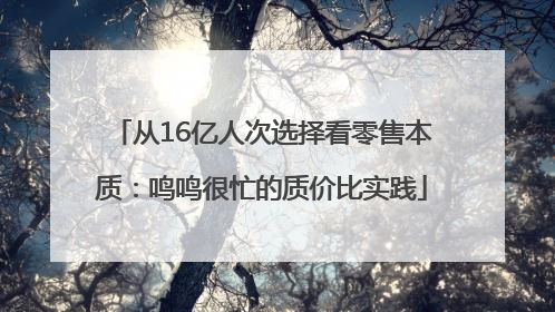 从16亿人次选择看零售本质：鸣鸣很忙的质价比实践