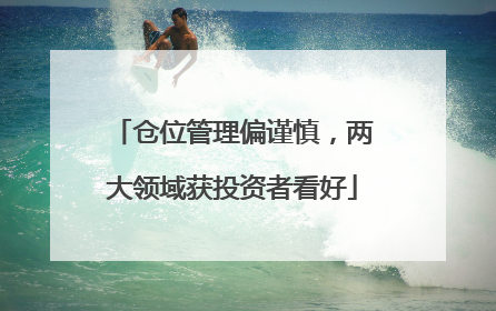 仓位管理偏谨慎，两大领域获投资者看好