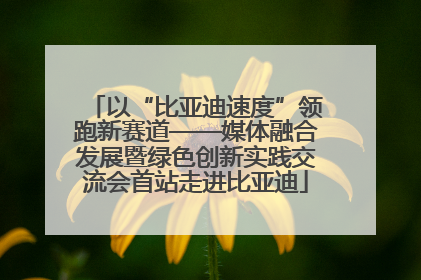 以“比亚迪速度”领跑新赛道——媒体融合发展暨绿色创新实践交流会首站走进比亚迪