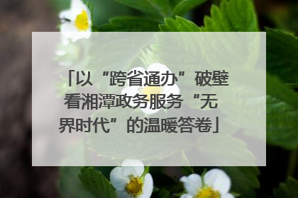 以“跨省通办”破壁 看湘潭政务服务“无界时代”的温暖答卷