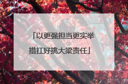 以更强担当更实举措扛好挑大梁责任