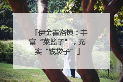 伊金霍洛镇：丰富“菜篮子”，充实“钱袋子”