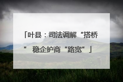 叶县：司法调解“搭桥” 稳企护商“路宽”