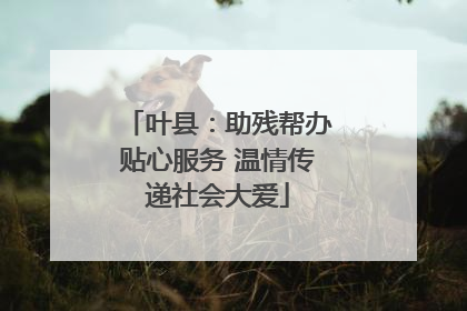 叶县：助残帮办贴心服务 温情传递社会大爱