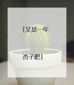 又是一年杏子肥