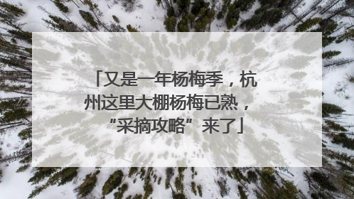 又是一年杨梅季，杭州这里大棚杨梅已熟，“采摘攻略”来了