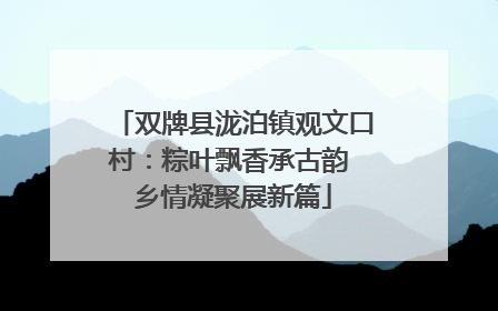 双牌县泷泊镇观文口村：粽叶飘香承古韵 乡情凝聚展新篇
