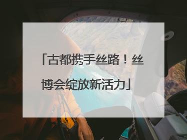 古都携手丝路！丝博会绽放新活力