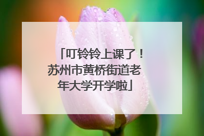 叮铃铃上课了！苏州市黄桥街道老年大学开学啦