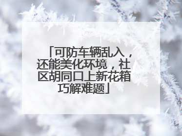 可防车辆乱入，还能美化环境，社区胡同口上新花箱巧解难题