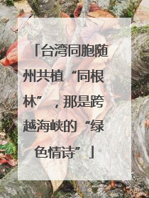 台湾同胞随州共植“同根林”，那是跨越海峡的“绿色情诗”
