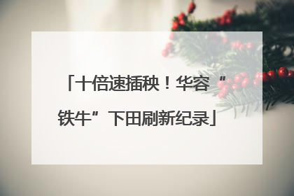 十倍速插秧！华容“铁牛”下田刷新纪录