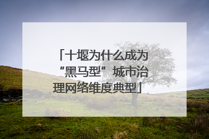 十堰为什么成为“黑马型”城市治理网络维度典型