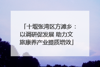 十堰张湾区方滩乡：以调研促发展 助力文旅康养产业提质增效