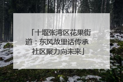 十堰张湾区花果街道：东风故里话传承 社区聚力向未来