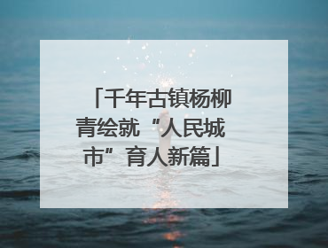 千年古镇杨柳青绘就“人民城市”育人新篇