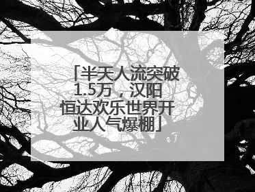 半天人流突破1.5万，汉阳恒达欢乐世界开业人气爆棚