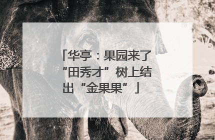 华亭：果园来了“田秀才”树上结出“金果果”