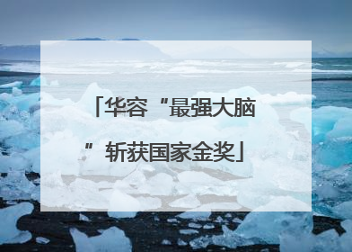 华容“最强大脑”斩获国家金奖