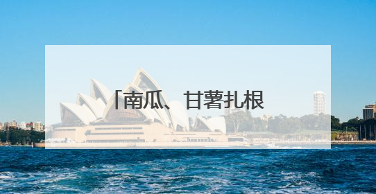 南瓜、甘薯扎根，低产丘陵地变身致富“聚宝盆”