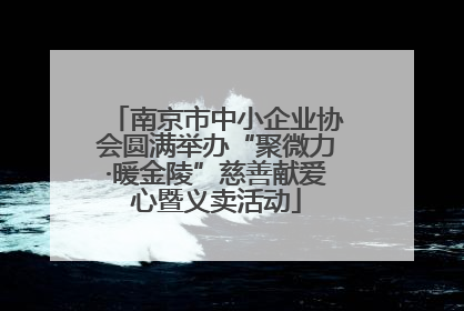 南京市中小企业协会圆满举办“聚微力·暖金陵”慈善献爱心暨义卖活动