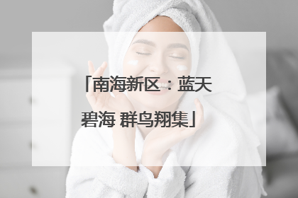 南海新区：蓝天碧海 群鸟翔集
