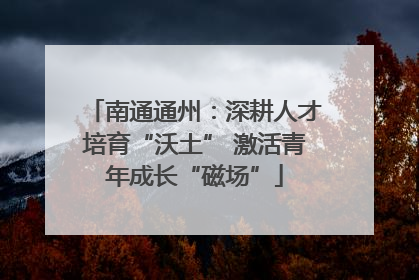 南通通州：深耕人才培育“沃土” 激活青年成长“磁场”