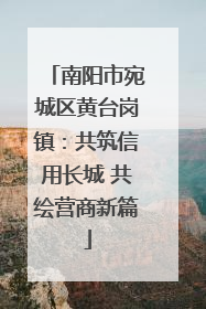 南阳市宛城区黄台岗镇：共筑信用长城 共绘营商新篇
