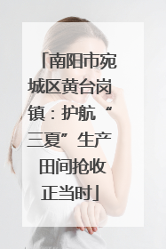 南阳市宛城区黄台岗镇：护航“三夏”生产 田间抢收正当时