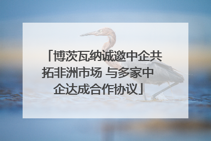 博茨瓦纳诚邀中企共拓非洲市场 与多家中企达成合作协议