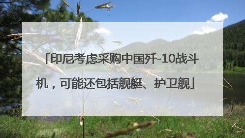 印尼考虑采购中国歼-10战斗机，可能还包括舰艇、护卫舰