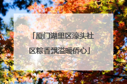厦门湖里区濠头社区粽香飘溢暖侨心