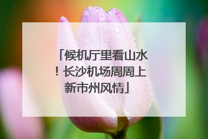 候机厅里看山水！长沙机场周周上新市州风情