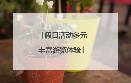 假日活动多元 丰富游览体验