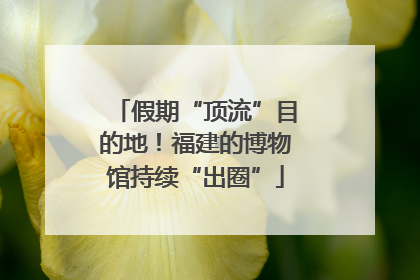 假期“顶流”目的地！福建的博物馆持续“出圈”