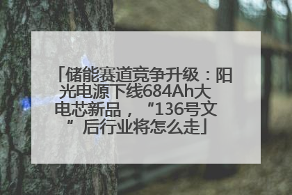 储能赛道竞争升级：阳光电源下线684Ah大电芯新品，“136号文”后行业将怎么走