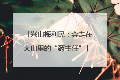 兴山梅利民：奔走在大山里的“药主任”