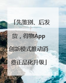 先鉴别、后发货，得物App创新模式推动消费正品化升级