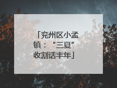 兖州区小孟镇：“三夏”收割话丰年