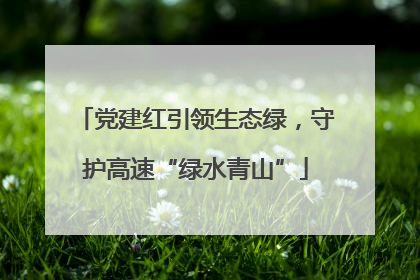 党建红引领生态绿，守护高速“绿水青山”