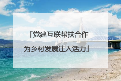 党建互联帮扶合作 为乡村发展注入活力
