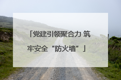 党建引领聚合力 筑牢安全“防火墙”