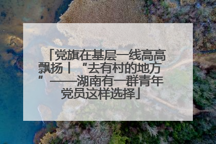 党旗在基层一线高高飘扬丨“去有村的地方”——湖南有一群青年党员这样选择