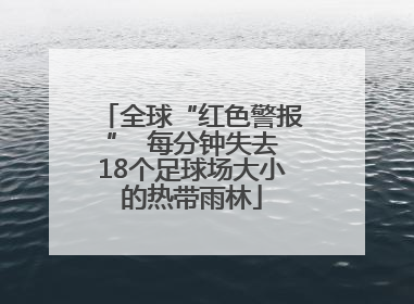 全球“红色警报”  每分钟失去18个足球场大小的热带雨林