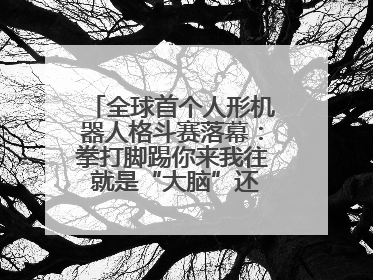 全球首个人形机器人格斗赛落幕：拳打脚踢你来我往 就是“大脑”还不好使